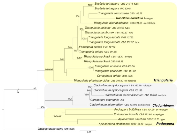 Figure 2