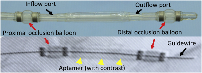 Figure 3