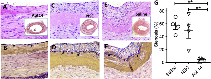 Figure 4