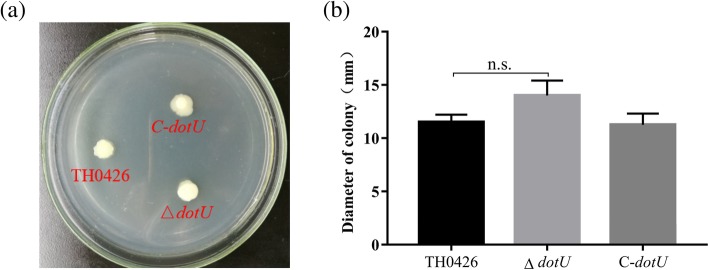 Fig. 3