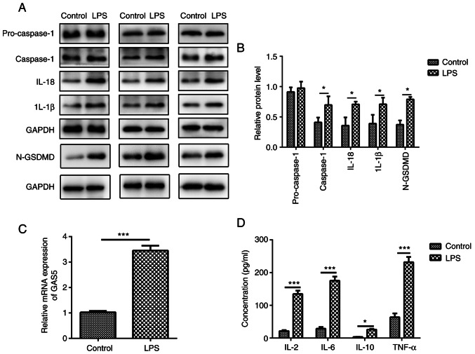 Figure 1.