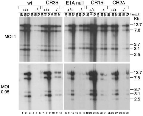 FIG. 3.