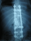 Fig. 1