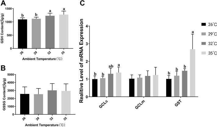 Figure 5