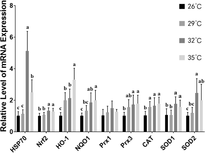 Figure 3