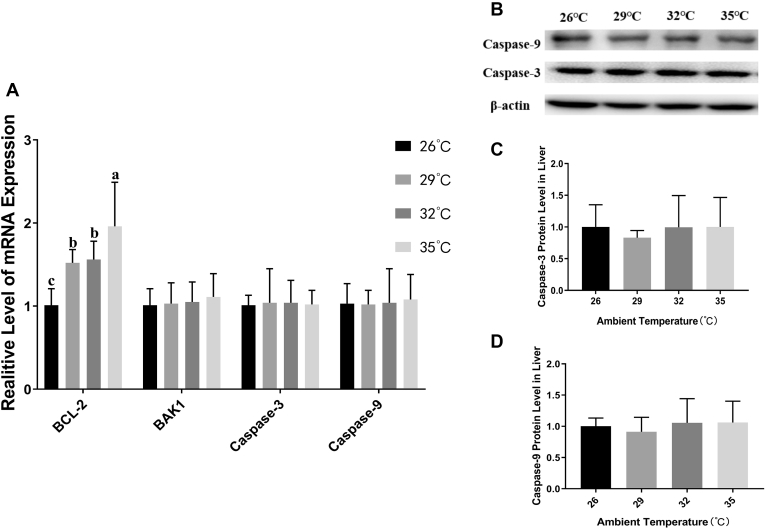 Figure 6