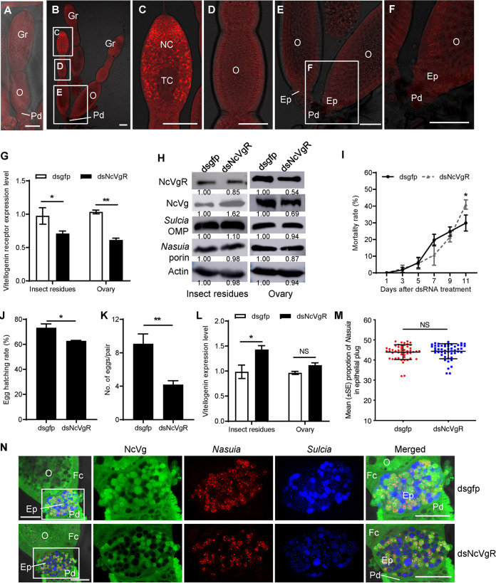 FIG 3