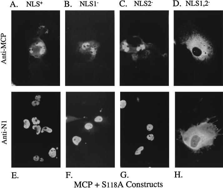 FIG. 6