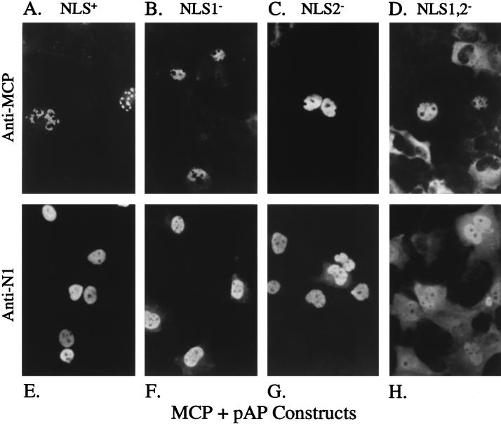 FIG. 7