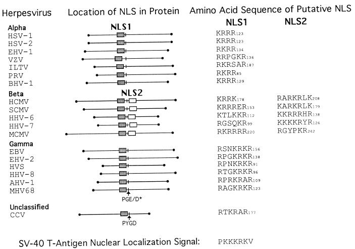 FIG. 11