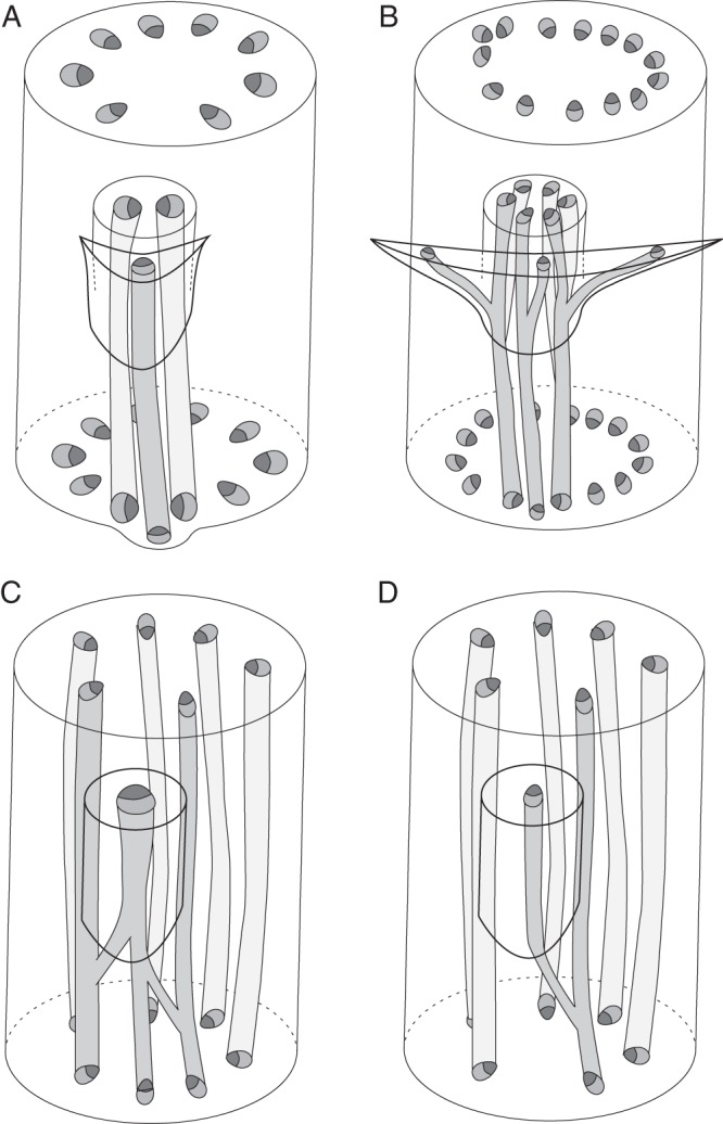 Fig. 7.