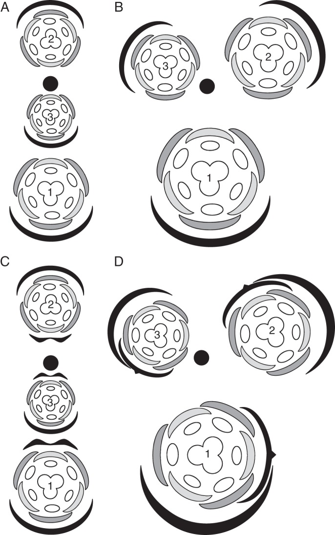 Fig. 5.