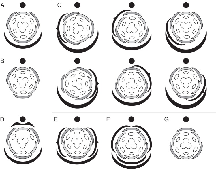 Fig. 3.