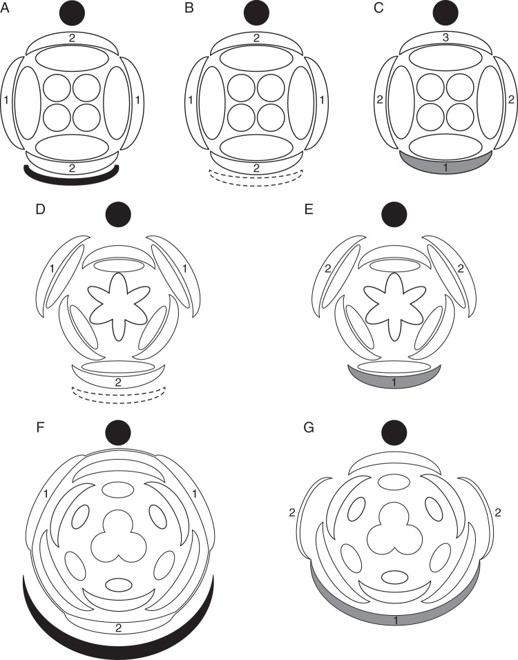 Fig. 6.