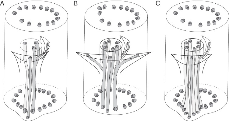 Fig. 8.