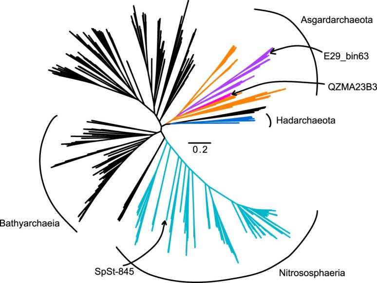 Extended Data Fig. 4