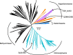 Extended Data Fig. 4