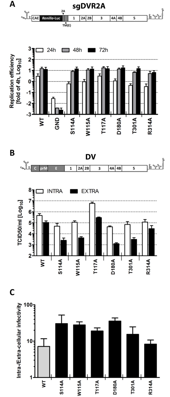 Fig 4