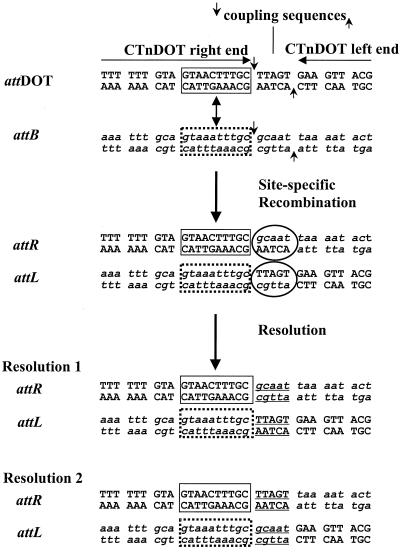 FIG. 3.