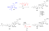 Scheme 58