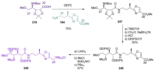 Scheme 53