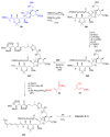 Scheme 50