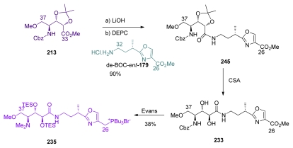 Scheme 51