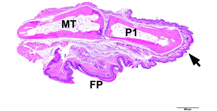 Figure 8.