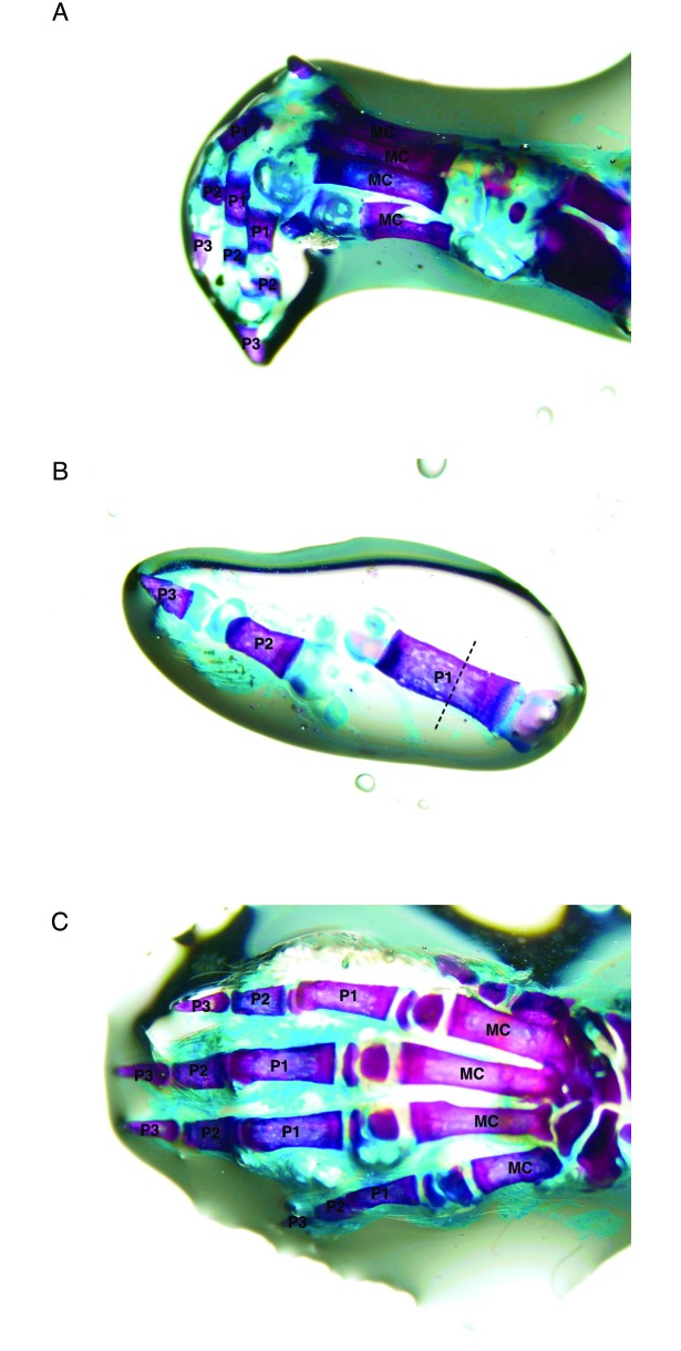 Figure 3.