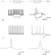 Fig. 4.