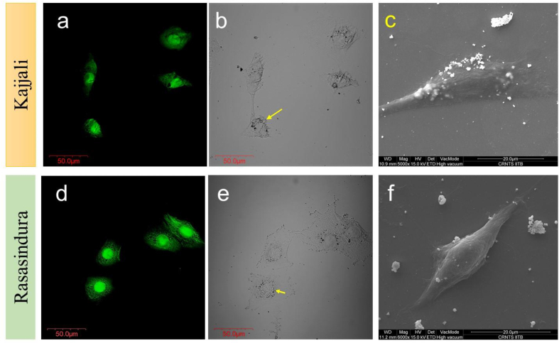 Fig. 4