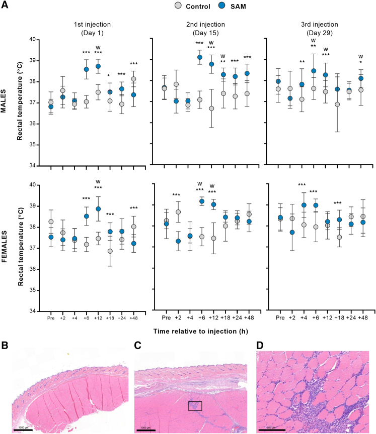 Figure 6