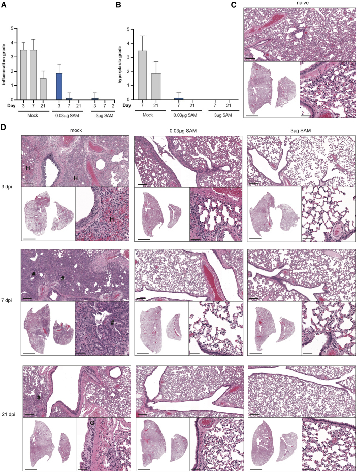 Figure 5