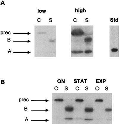 FIG. 3