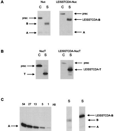 FIG. 5