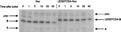 FIG. 6