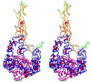 Supplementary Figure 1
