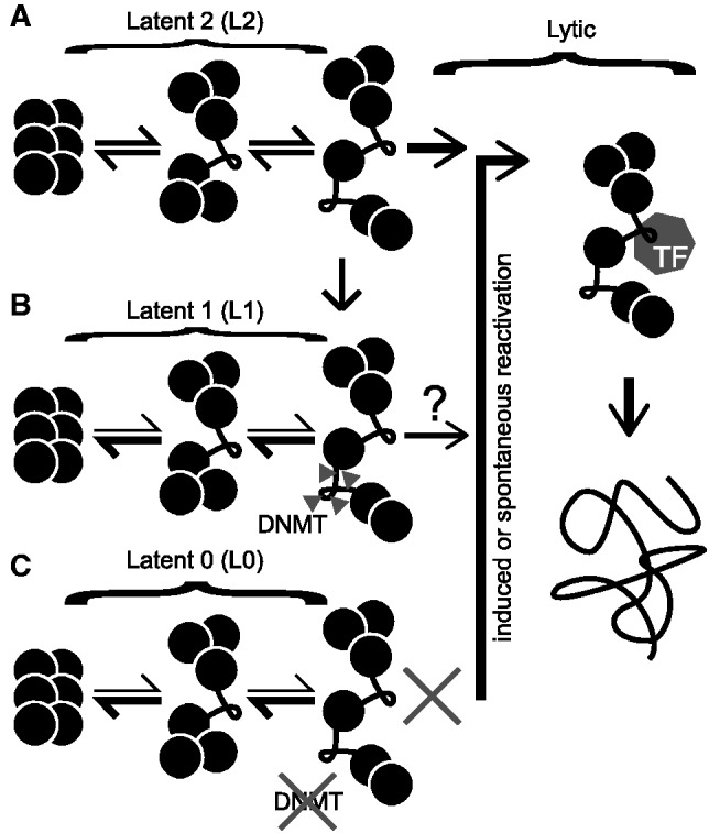 Figure 9.