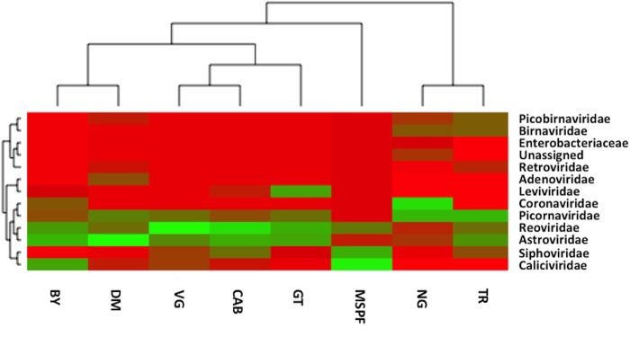 Fig 5