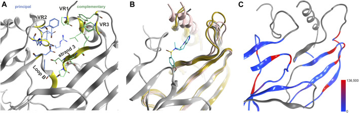 FIGURE 3