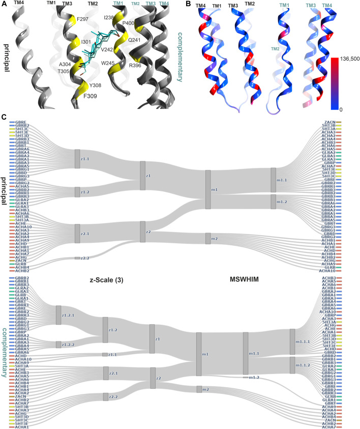 FIGURE 6