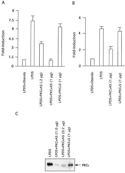 FIG. 6.