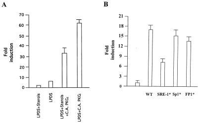 FIG. 5.