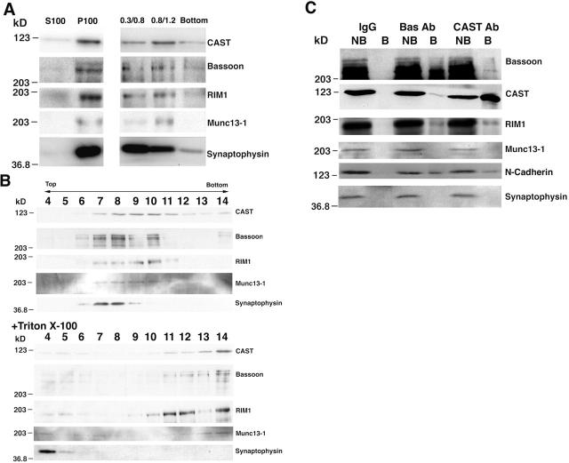 Figure 12.