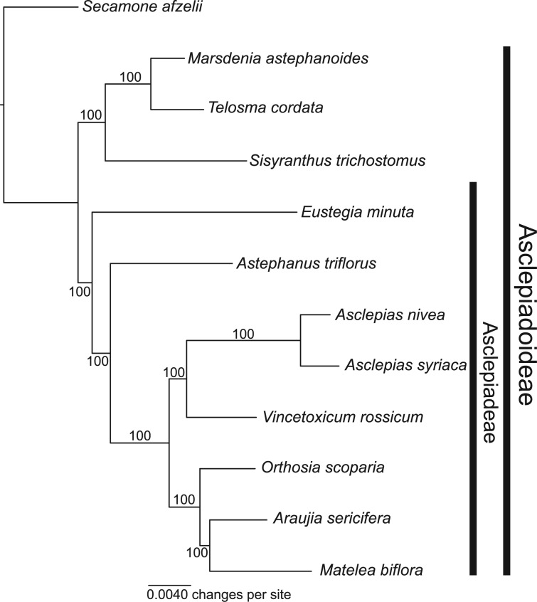 Fig. 4.—