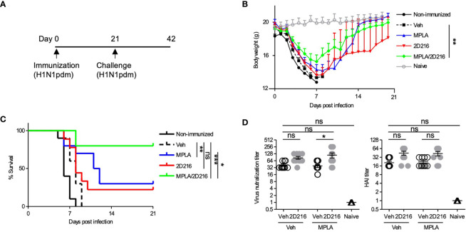 Figure 6
