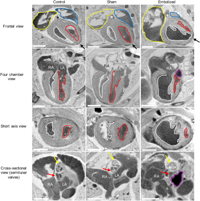 Fig. 3.