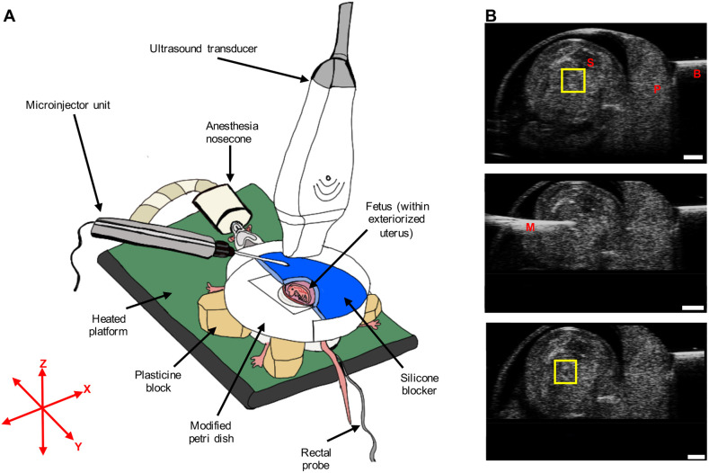 Fig. 6.