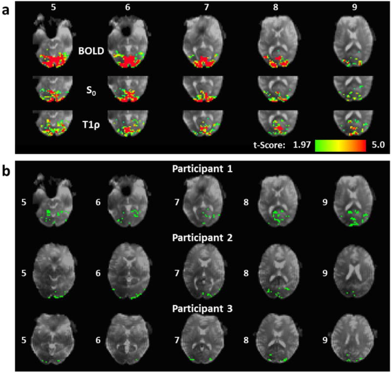 Fig. 9