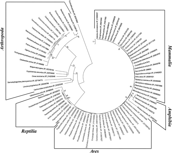 FIGURE 3